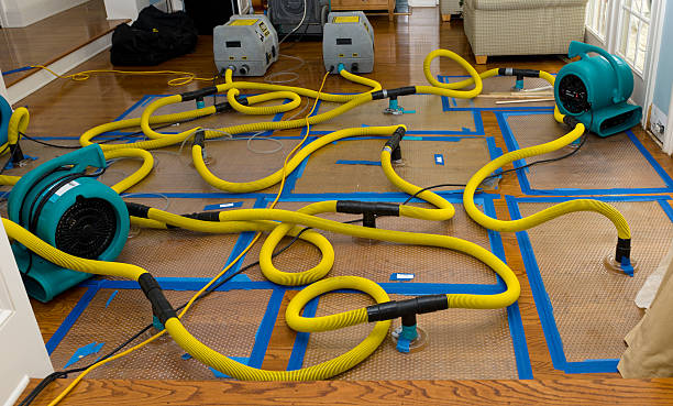 Professional Basement Flood Cleanup technician working in Windsor, ME